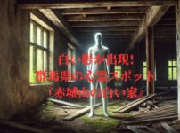 群馬県の心霊スポット「赤城山の白い家」