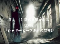 視界の端に現れるシャドーピープルのイメージ画像