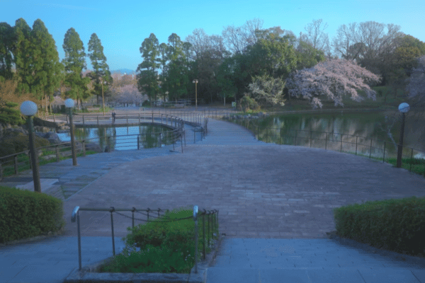 鶴見緑地公園内の写真