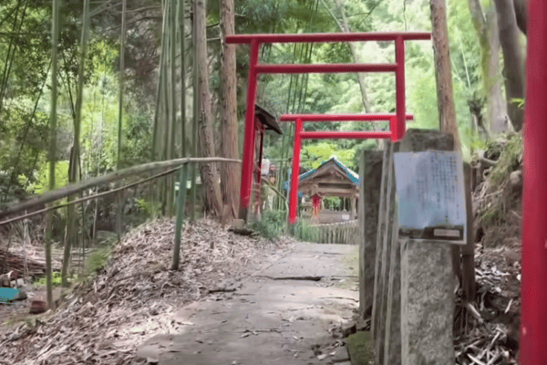 白高大神の鳥居の写真