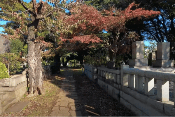 青山霊園の写真