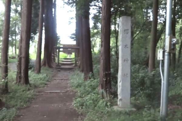 埼玉の『桜木神社』の入り口の写真