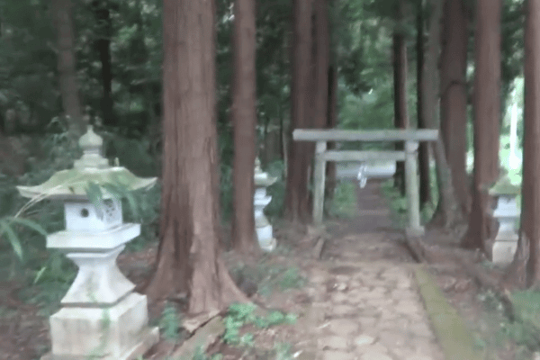 埼玉の『桜木神社』の鳥居の写真