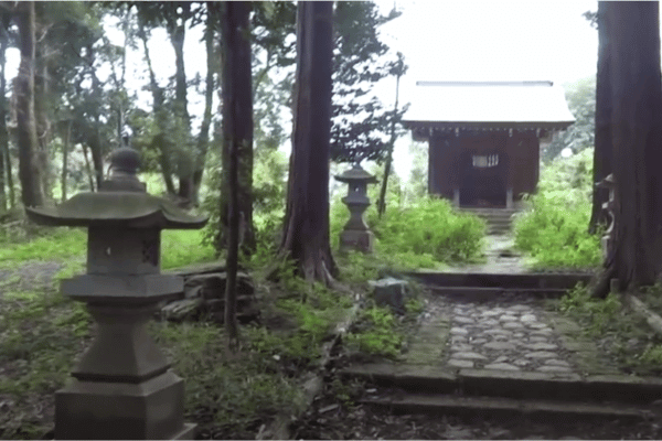 埼玉の『桜木神社』の境内の写真