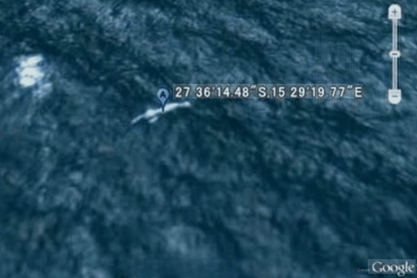 ニンゲンが写っていると話題になった写真のイメージ